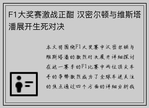 F1大奖赛激战正酣 汉密尔顿与维斯塔潘展开生死对决
